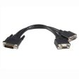 8 inch DMS-59 to 2 VGA Y Cable For Cheap